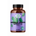 Boswellia serrata extract 5:1 Cruydhof