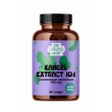 Kaneel extract 10:1 Cruydhof