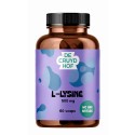 L-Lysine Cruydhof