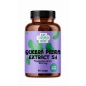 Quebra Pedra extract 5:1 Cruydhof