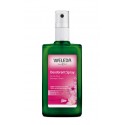 Wilde rozen deodorant Weleda