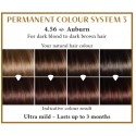 Auburn 4.56  Long Lasting Colour Henna Plus