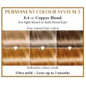 Copper blond 8.4  Long Lasting Colour Henna Plus