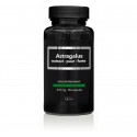 Astragalus extract puur forte 475mg APB Holland