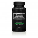 Canadese geelwortel extract puur forte 480mg APB Holland