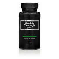 Garcinia cambogia puur 290mg APB Holland