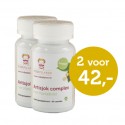 Artisjok complex Rode Pilaren