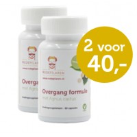 Overgang Rode Pilaren