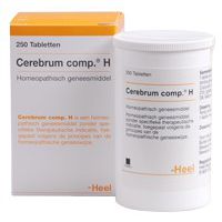 Cerebrum compositum H Heel 
