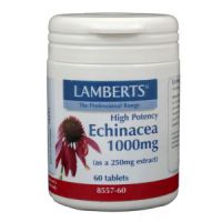 Echinacea 1000mg Lamberts 