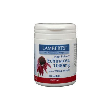 Echinacea 1000mg Lamberts 