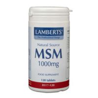 MSM 1000mg Lamberts 